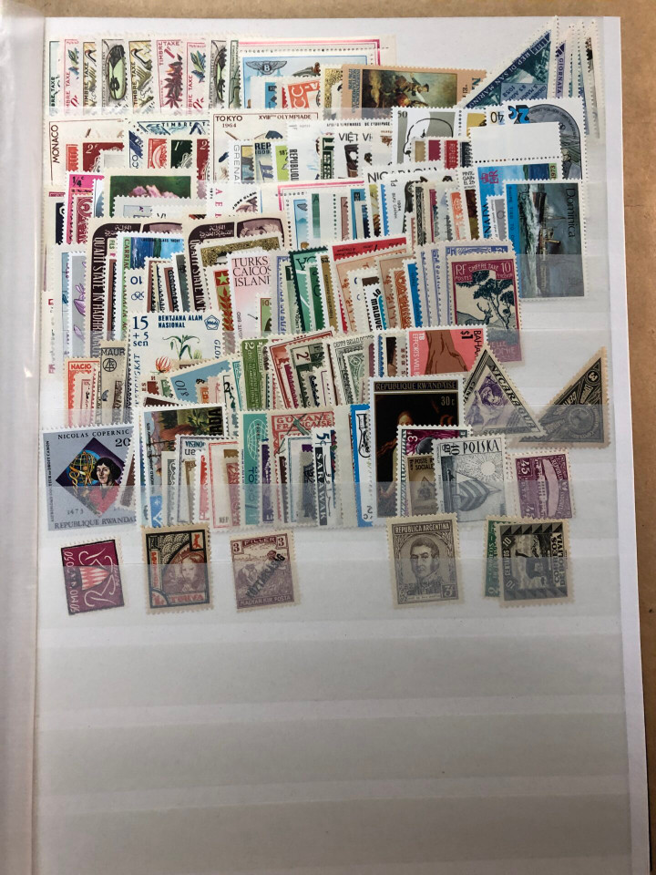 INTERNATIONAL MINT SELECTION – 426506