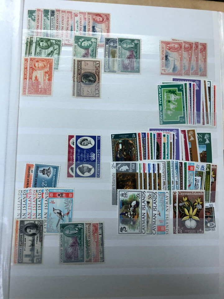 MINT INTERNATIONAL GROUPING – 426568