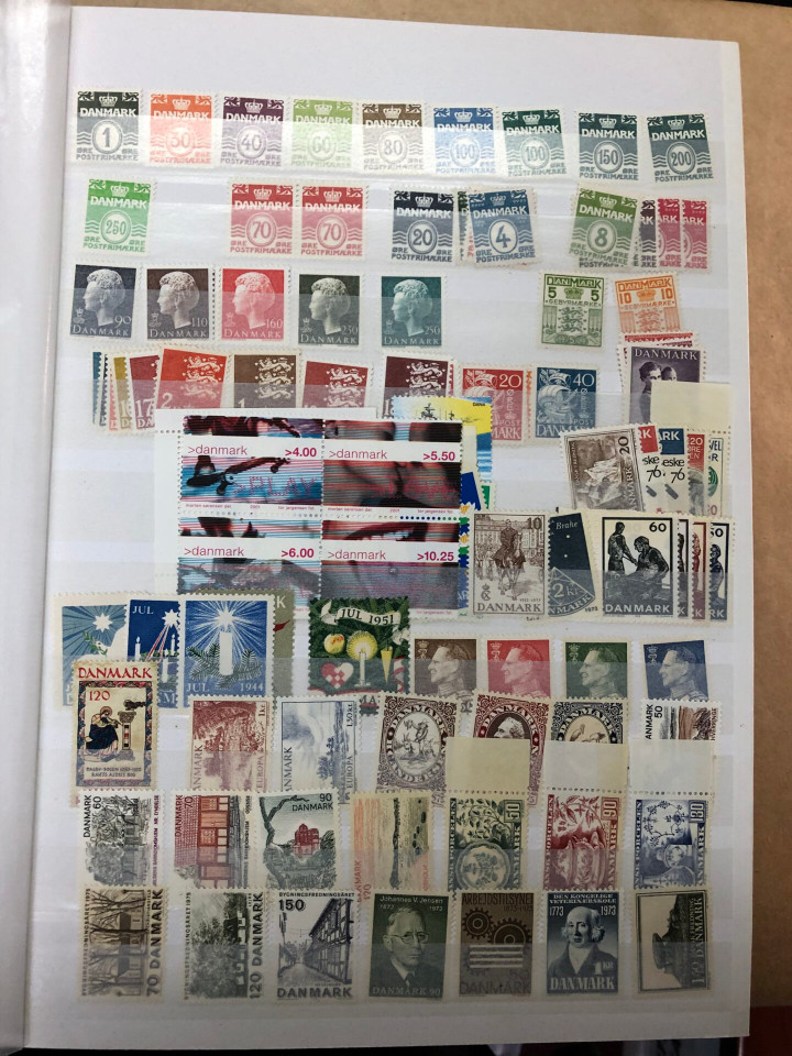 MINT INTERNATIONAL GROUPING – 426568