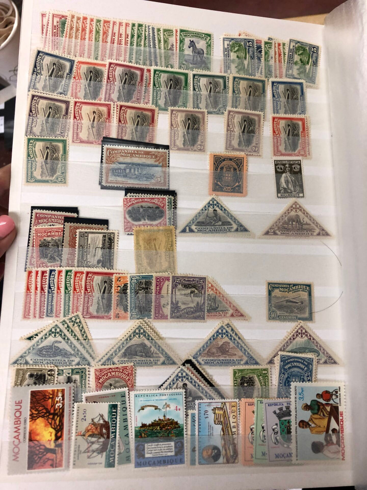 MINT INTERNATIONAL GROUPING – 426568