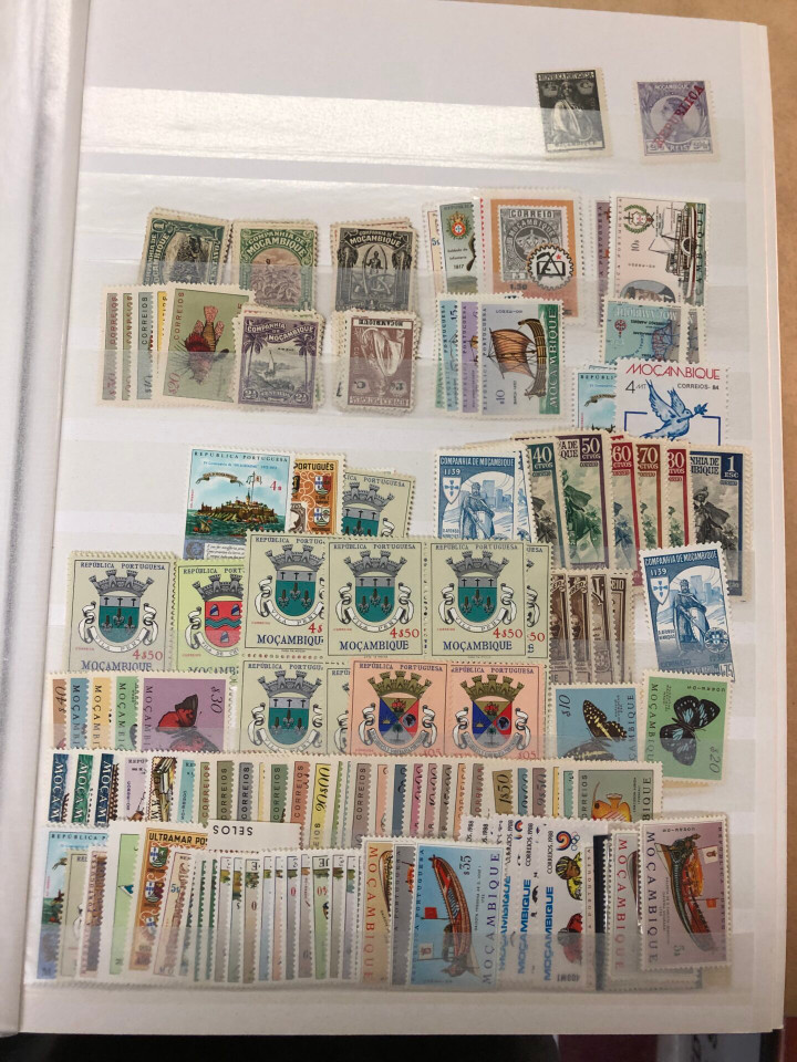 MINT INTERNATIONAL GROUPING – 426568