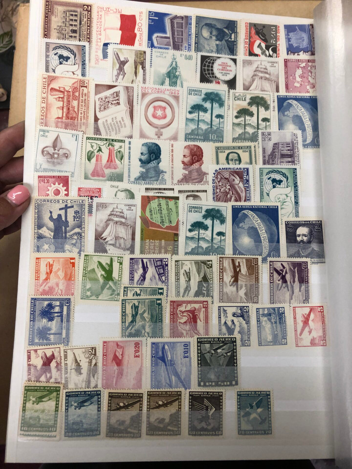 MINT INTERNATIONAL GROUPING – 426568