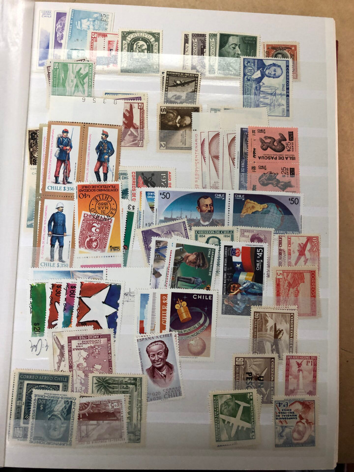 MINT INTERNATIONAL GROUPING – 426568