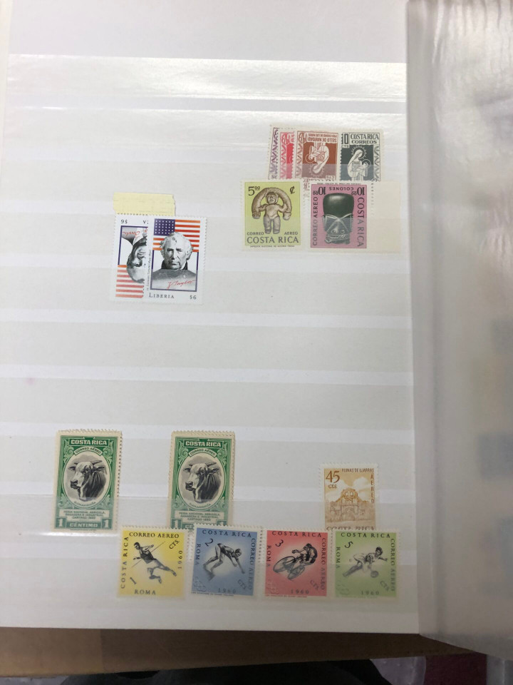 MINT INTERNATIONAL GROUPING – 426568