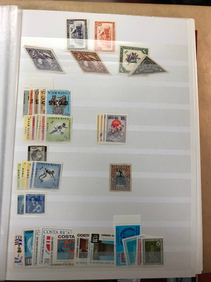 MINT INTERNATIONAL GROUPING – 426568