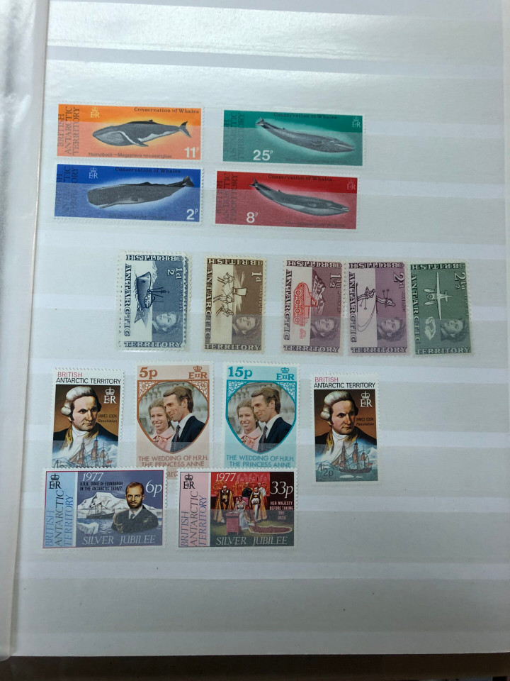 MINT INTERNATIONAL GROUPING – 426568