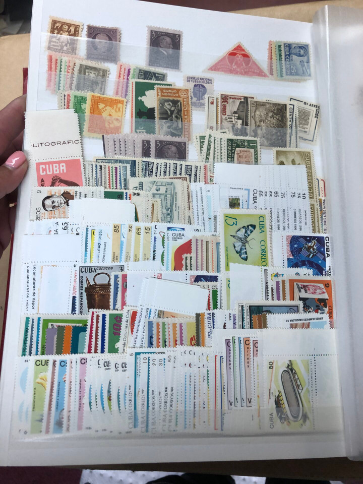 MINT INTERNATIONAL GROUPING – 426568