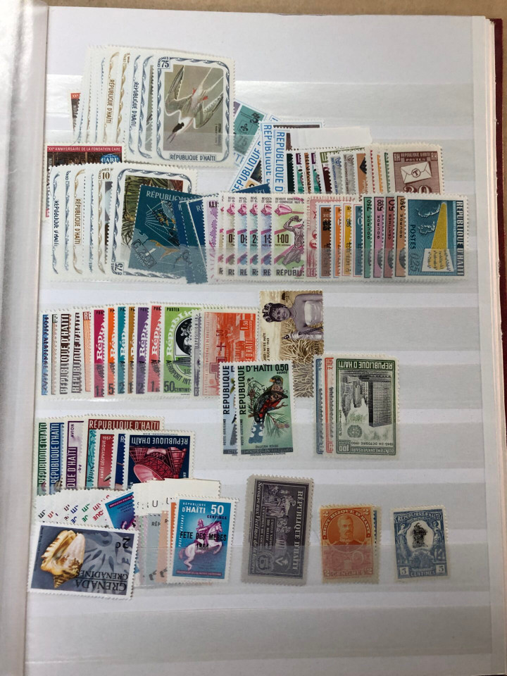 MINT INTERNATIONAL GROUPING – 426568