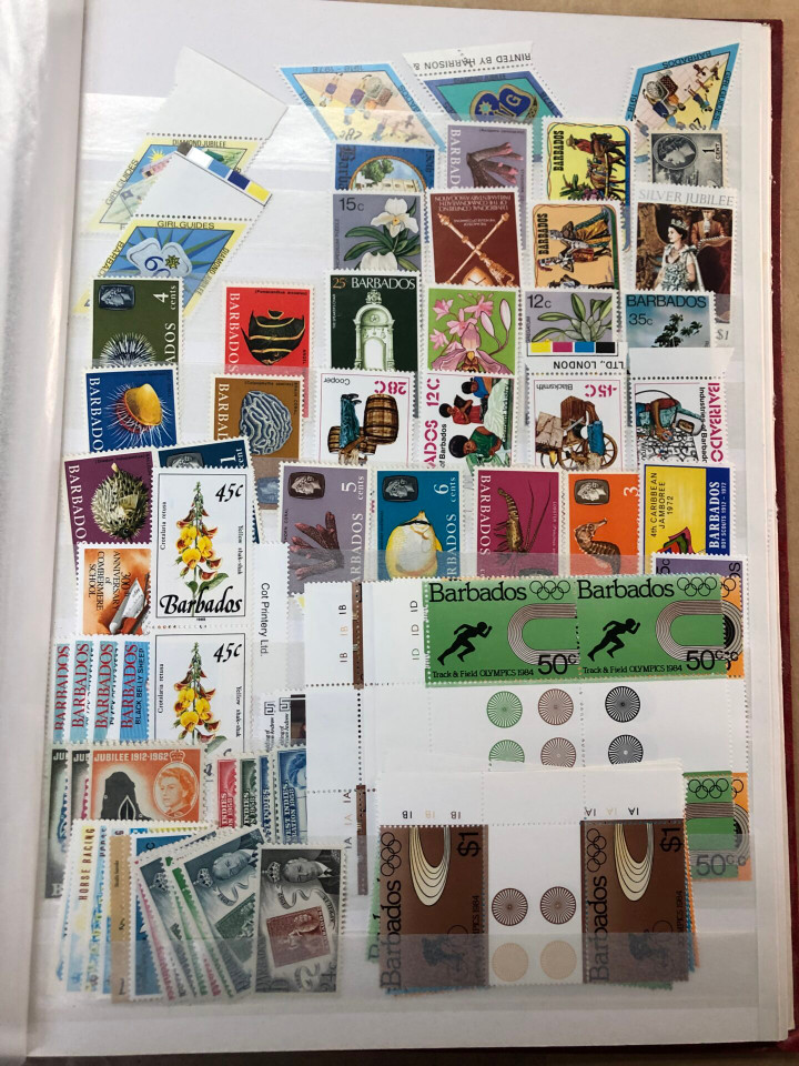 MINT INTERNATIONAL GROUPING – 426568