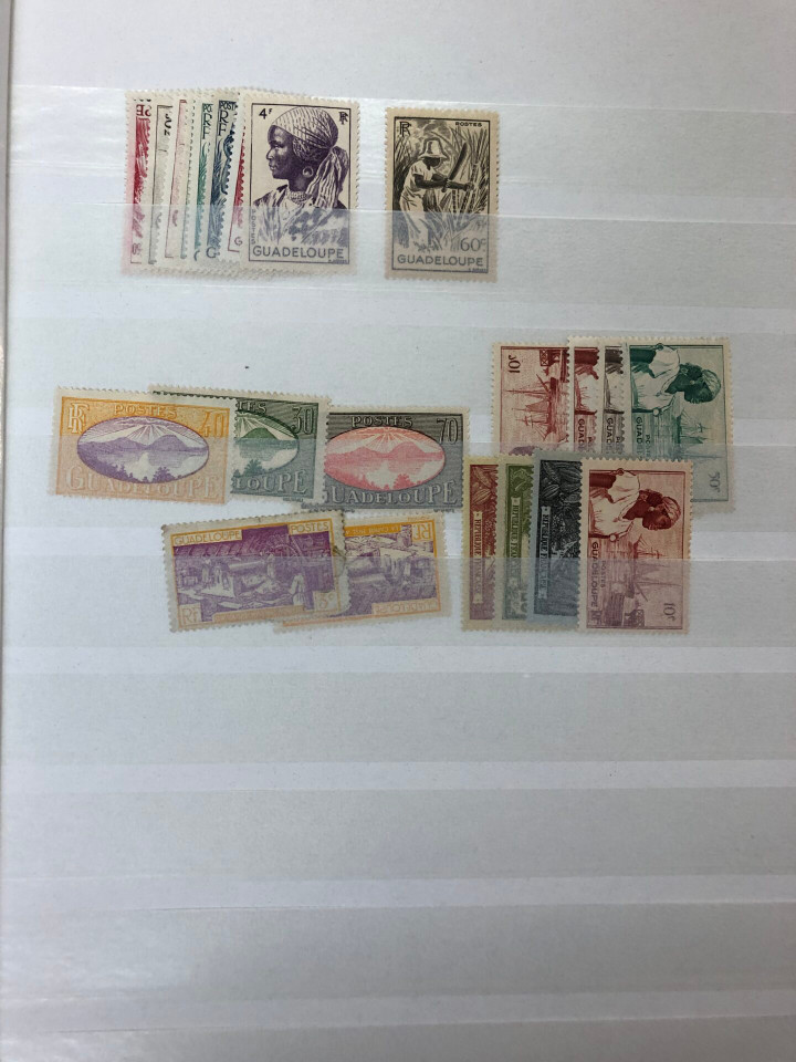 MINT INTERNATIONAL SELECTION – 426577