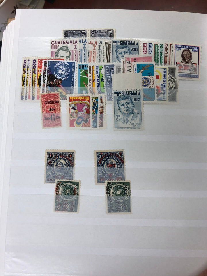 MINT INTERNATIONAL SELECTION – 426577