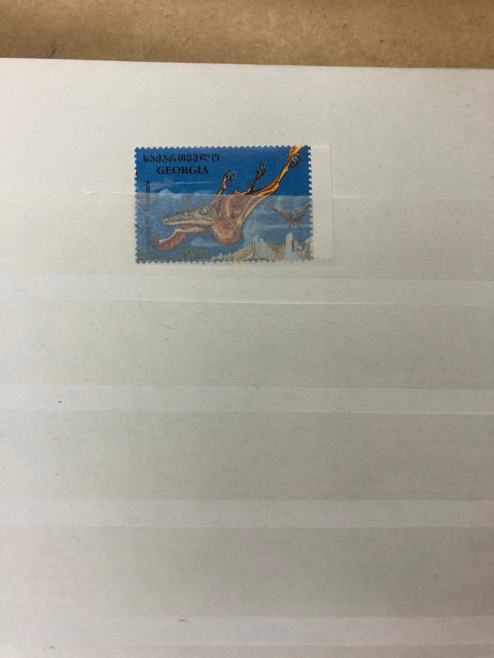 MINT INTERNATIONAL SELECTION – 426577