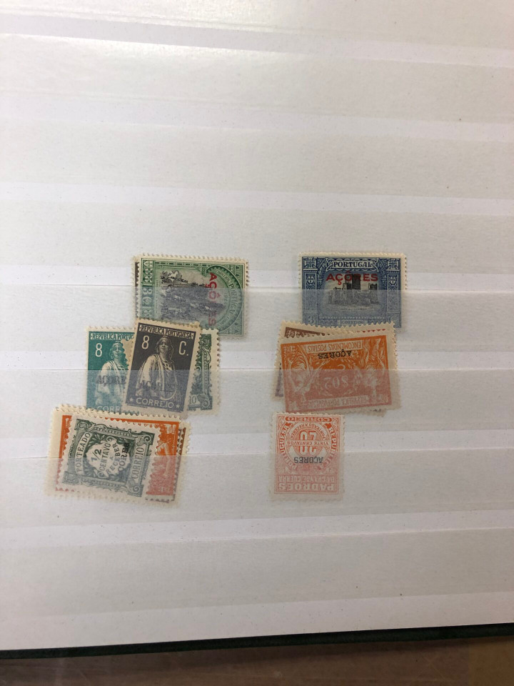 MINT INTERNATIONAL SELECTION – 426571