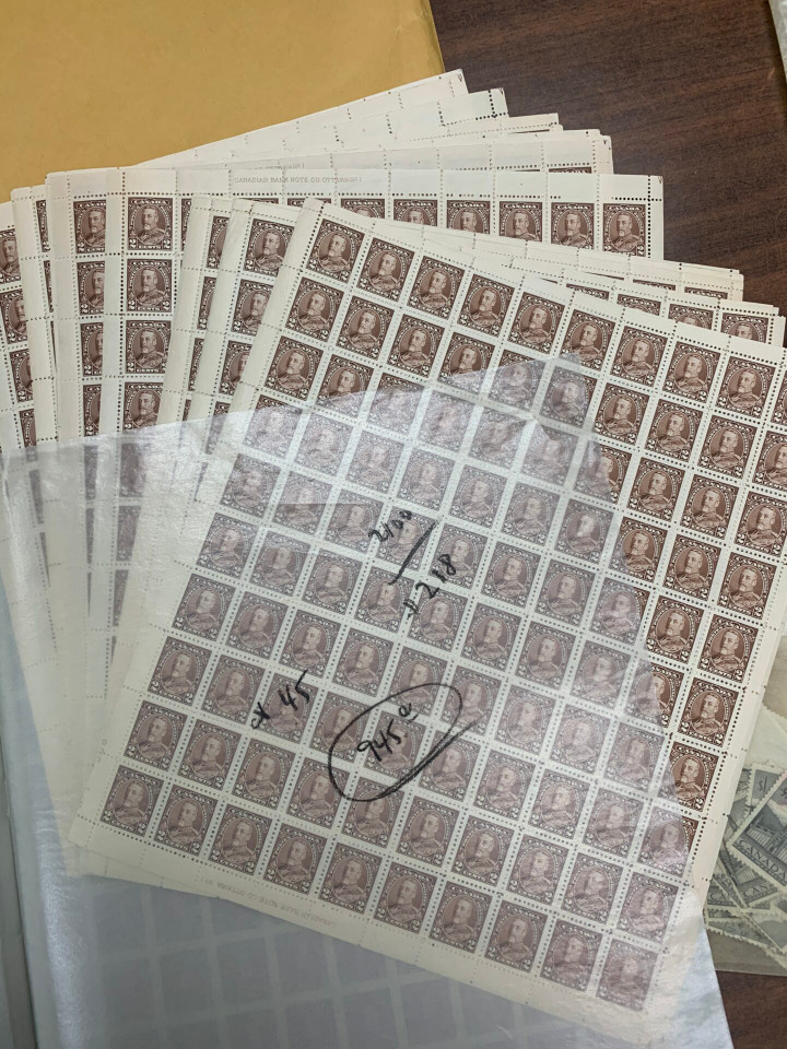 CANADA – HIGH GRADE MASSIVE STOCK SELECTION – 425371