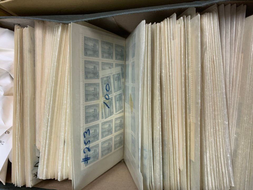 CANADA – HIGH GRADE MASSIVE STOCK SELECTION – 425371