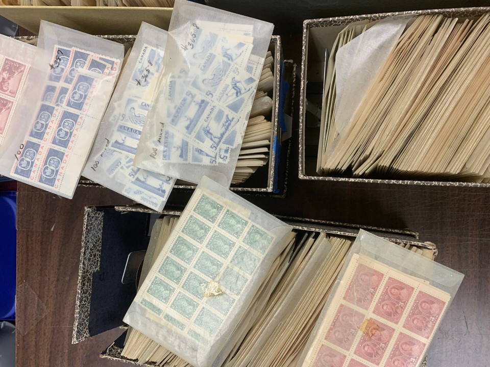 CANADA – HIGH GRADE MASSIVE STOCK SELECTION – 425371