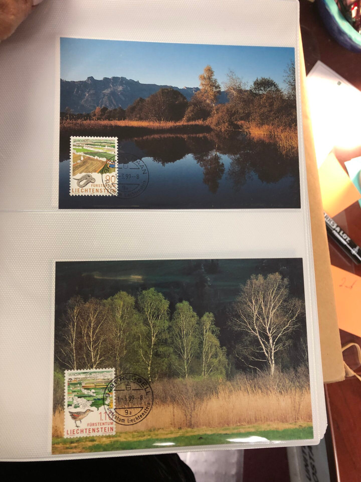 LIECHTENSTEIN - MAXIMUM CARD FDC - 425346