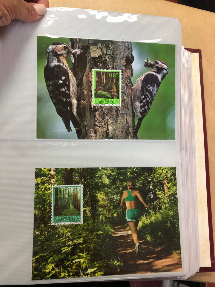 LIECHTENSTEIN - MAXIMUM CARD FDC - 425346