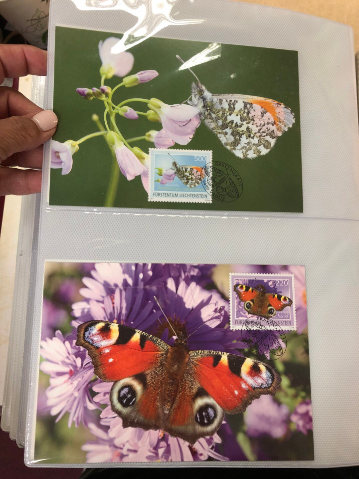 LIECHTENSTEIN - MAXIMUM CARD FDC - 425346