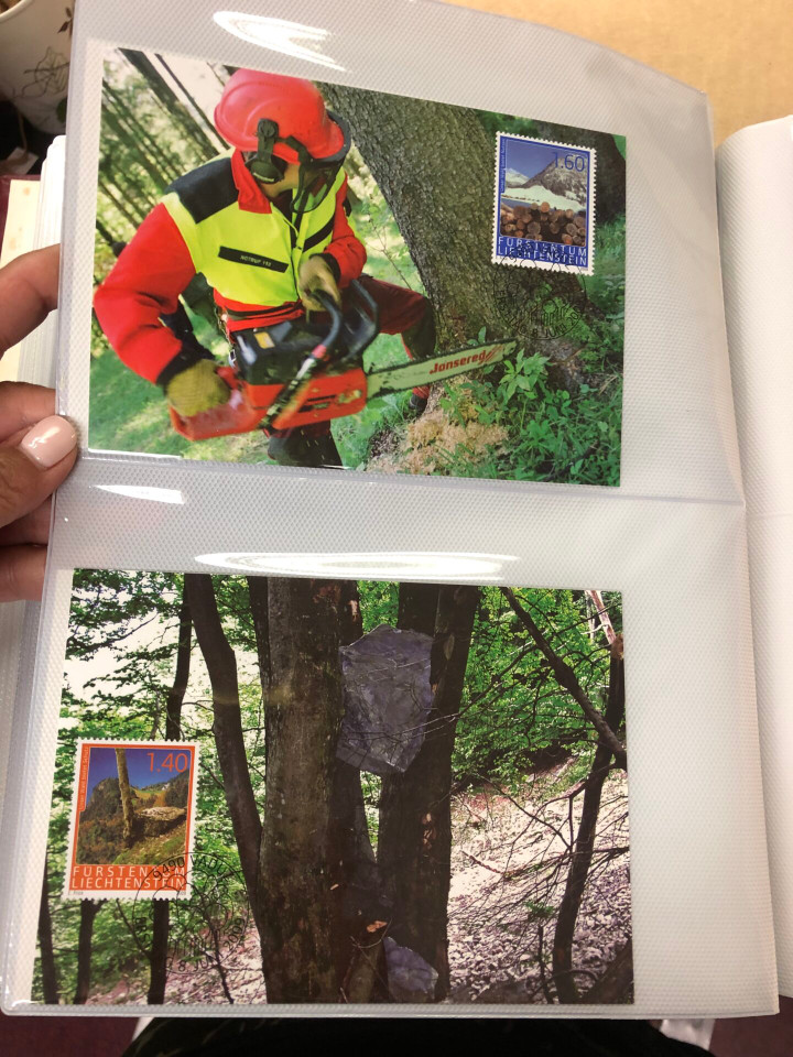 LIECHTENSTEIN - MAXIMUM CARD FDC - 425346