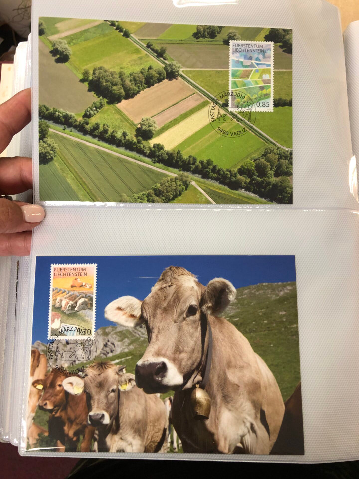 LIECHTENSTEIN - MAXIMUM CARD FDC - 425346