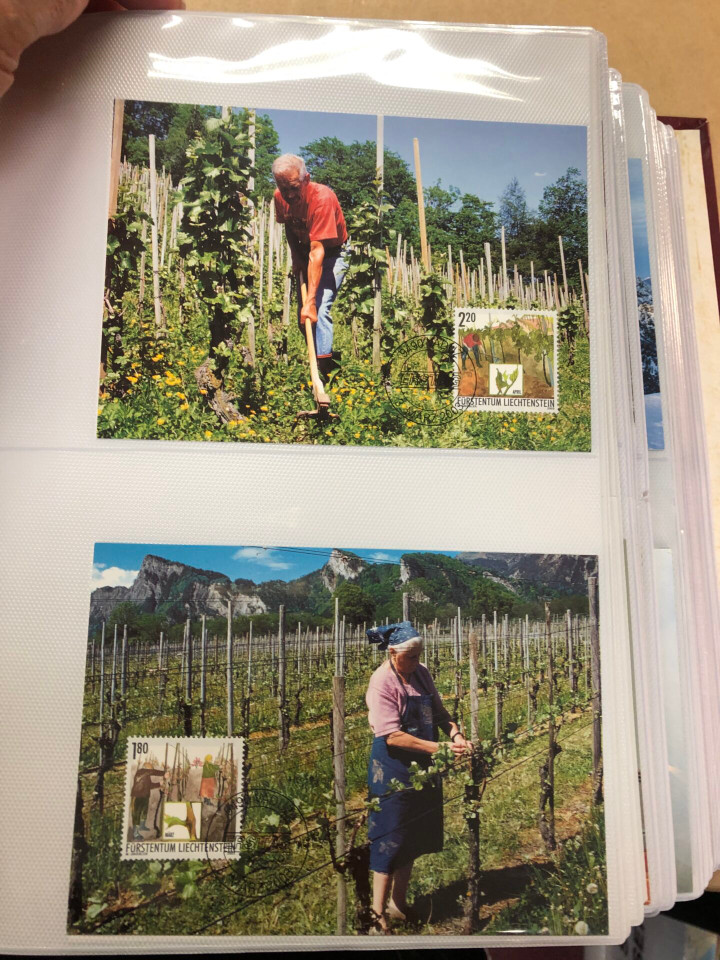 LIECHTENSTEIN - MAXIMUM CARD FDC - 425346