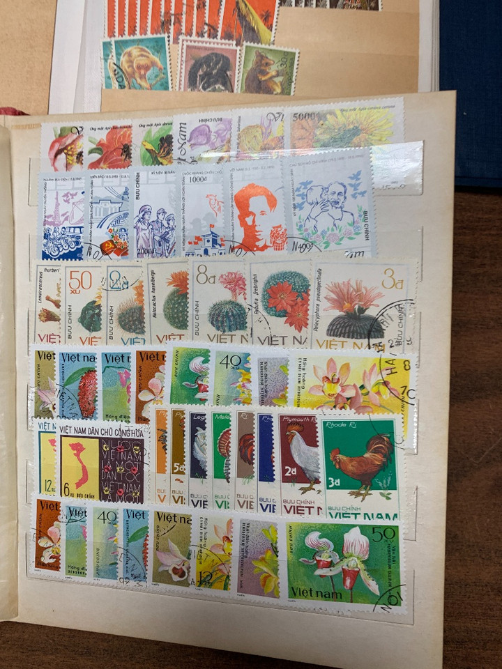 EXPANSIVE INTERNATIONAL MIX – 425301