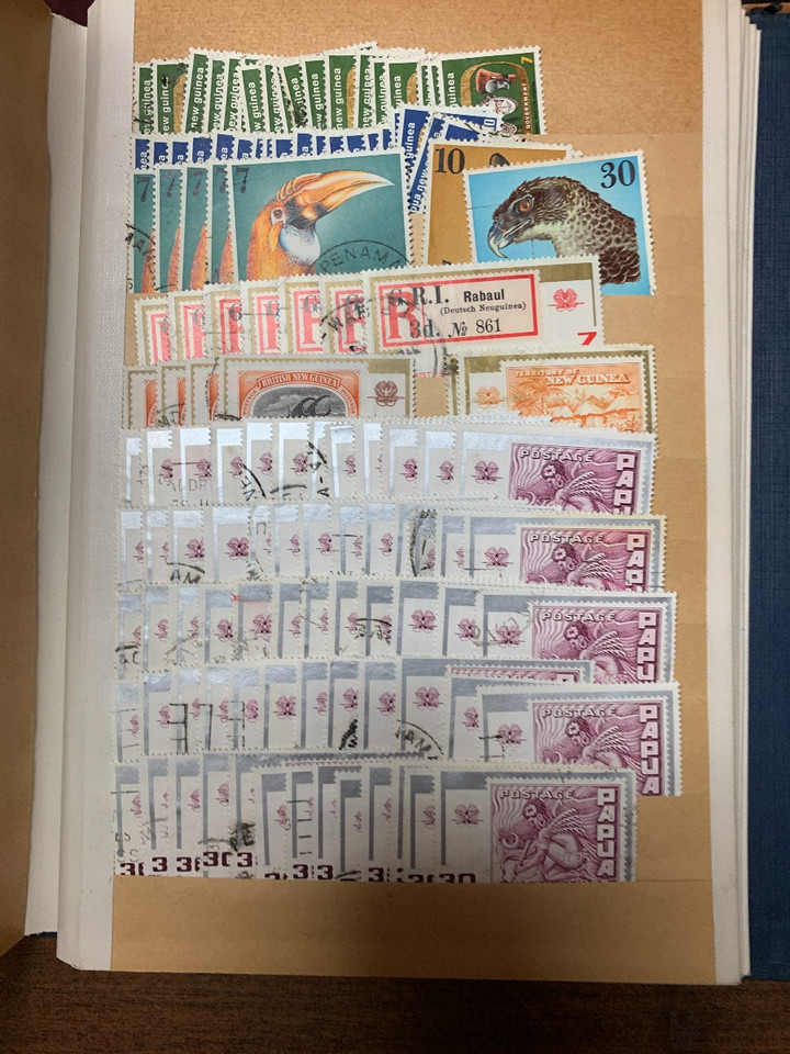 EXPANSIVE INTERNATIONAL MIX – 425301