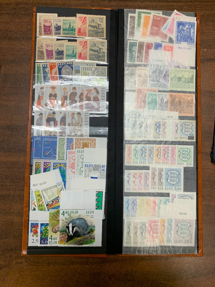 EXPANSIVE INTERNATIONAL MIX – 425301