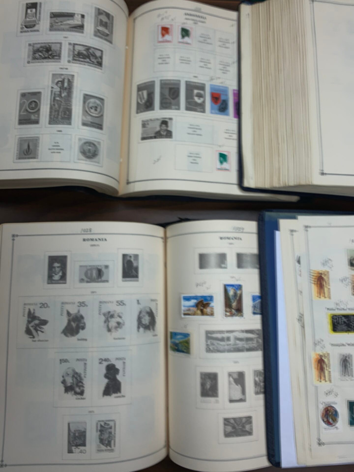 INTERNATIONAL BEHEMOTH COLLECTION IN PROGRESS IN SIX LARGE CARTONS – 425988