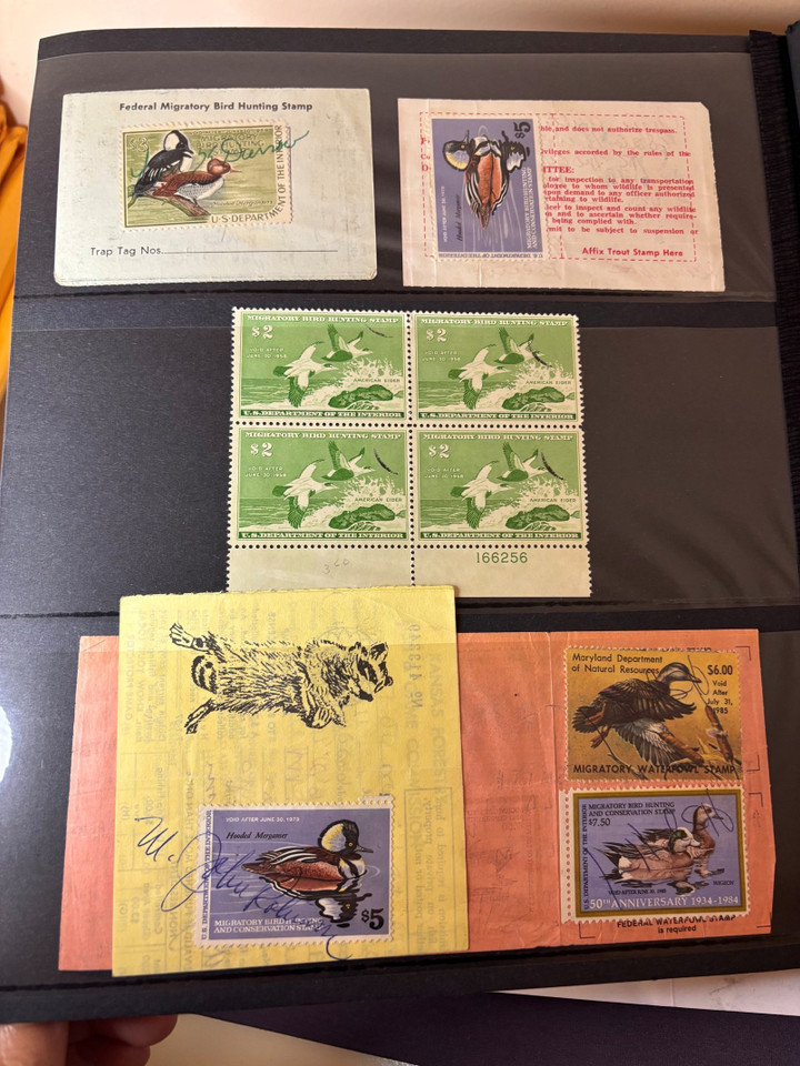 DUCKS, TURKEYS, AND BOATS - Federal and State Wildlife Stamps Plus Coast Guard Boating Issues – 426092