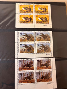 DUCKS, TURKEYS, AND BOATS - Federal and State Wildlife Stamps Plus Coast Guard Boating Issues – 426092