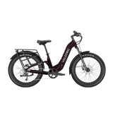 shopify-image:53767351959924