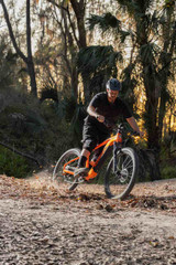 shopify-image:54824448950644