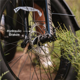 XPeak2 High-Step Long-Range eBike [Lectric]