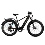 XPeak2 High-Step eBike [Lectric]