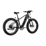 XPeak2 High-Step eBike [Lectric]