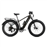 XPeak2 High-Step eBike [Lectric]