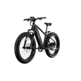 XPeak2 High-Step eBike [Lectric]