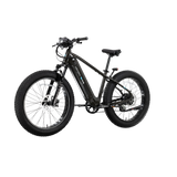 XPeak2 High-Step eBike [Lectric]