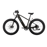 XPeak2 High-Step eBike [Lectric]