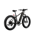 XPeak2 High-Step eBike [Lectric]