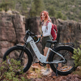 XPeak2 Step-Thru eBike [Lectric]