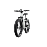 XPeak2 Step-Thru eBike [Lectric]