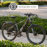 XPress 750 High-Step eBike [Lectric]