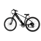 XPress 750 High-Step eBike [Lectric]