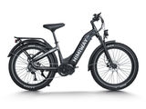 D5 Pro ST / All-terrain Electric Fat Bike [Himiway]