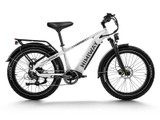D5(Zebra) / All-terrain Electric Fat Bike [Himiway]
