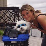 BIKASE Pet Basket [BiKASE]