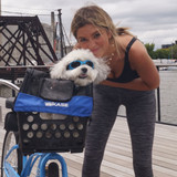 Pet Cover for DairyMan Basket [BiKASE]